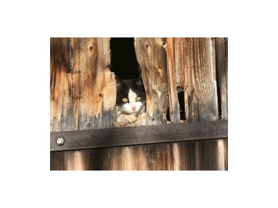 Apartment Apartment / 2 Schlafräume,Dusche, WC, 70m² - Outdoor photo 95