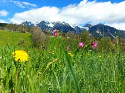 Apartment Apartment / 2 Schlafräume,Dusche, WC, 70m² - Outdoor photo 99