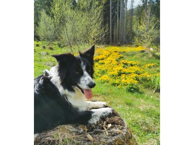 Apartment Apartment / 2 Schlafräume,Dusche, WC, 70m² - Outdoor photo 101