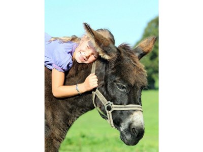 Apartment Apartment / 2 Schlafräume,Dusche, WC, 70m² - Outdoor photo 102