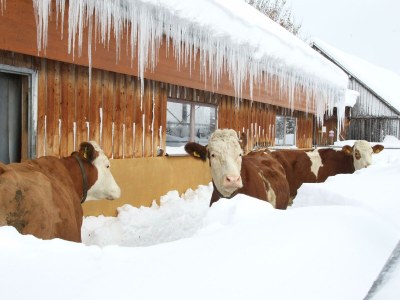 Apartment Apartment / 2 Schlafräume,Dusche, WC, 70m² - Outdoor photo 103
