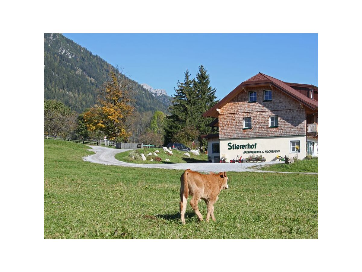 Apartment Typ C Scheichenspitz /1 Schlafraum/DU,WC - Outdoor photo 5