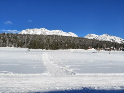 Apartment Appartement/Fewo, Dusche, WC, 1 Schlafraum - Outdoor photo 15