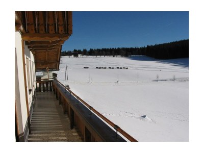 Apartment Apartment/1 Schlafraum/Dusche, WC - Outdoor photo 26