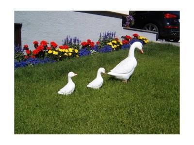 Apartment Apartment/1 Schlafraum/Dusche, WC - Outdoor photo 51