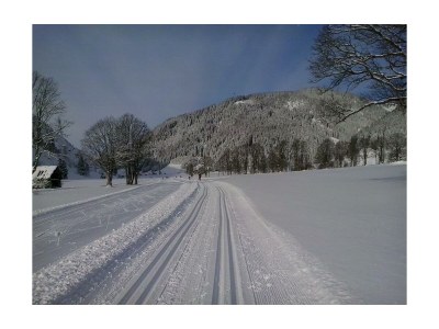 Apartment Apartment/1 Schlafraum/Dusche, WC - Outdoor photo 52