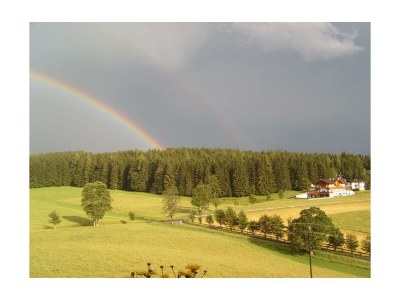 Apartment Apartment/1 Schlafraum/Dusche, WC - Features photo 59