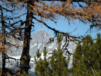 Apartment Apartment B /1 Schlafraum/Dusche, WC - Outdoor photo 9