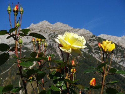 Apartment Apartment C/1 Schlafraum/Bad, WC extra - Outdoor photo 12