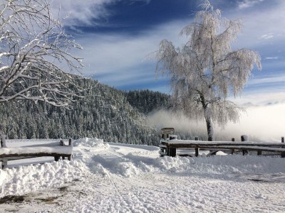 Holiday room Zimmer "Wasser"/Schlafzimmer/ Bad, WC in Ramsau am Dachstein - Holiday room