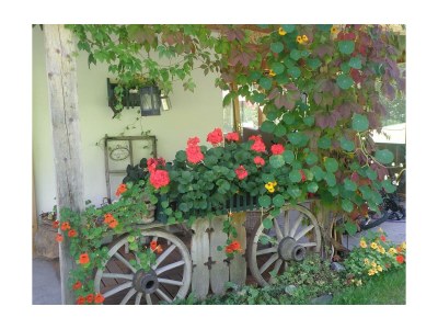 Apartment Knaushäusl /3 Schlafräume/ 2 x Dusche, 2 WC - Features photo 37