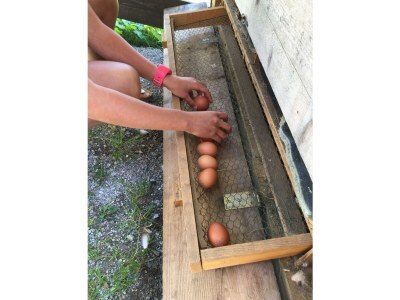 Apartment Appartement Planai 1 -2 Schlafräume - Outdoor photo 11