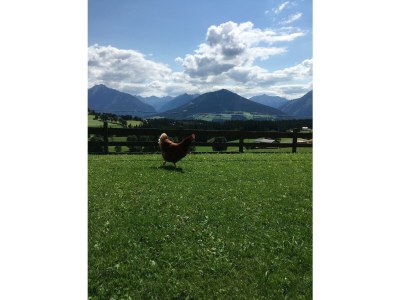 Apartment Appartement Planai 1 -2 Schlafräume - Outdoor photo 12