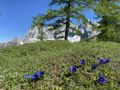 Apartment Appartement Planai 1 -2 Schlafräume - Outdoor photo 45