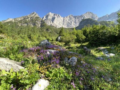 Apartment Appartement Planai 1 -2 Schlafräume - Outdoor photo 49