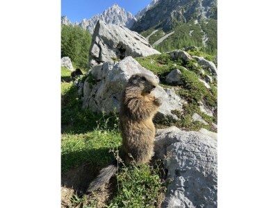 Apartment Appartement Planai 1 -2 Schlafräume - Outdoor photo 51