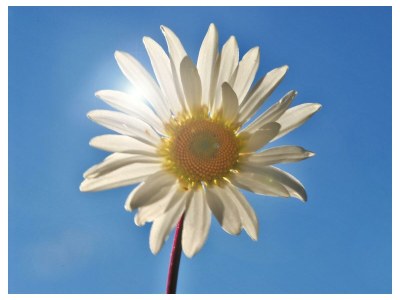 Apartment Murmel /2 Schlafräume/Wohnküche/Du, WC - Outdoor photo 12