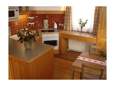 Apartment App. Dachstein / 2 Schlafräume / 2 Badezimmer - Outdoor photo 29