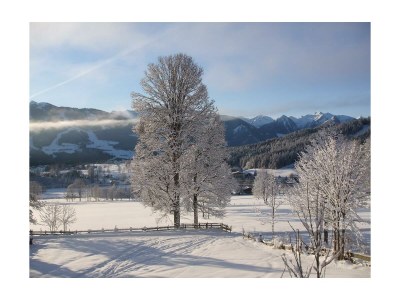 Apartment App. Dachstein / 2 Schlafräume / 2 Badezimmer - Features photo 43