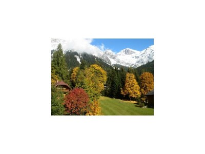 Apartment App. Eselstein / 1 Schlafraum / 1 Badezimmer - Features photo 38