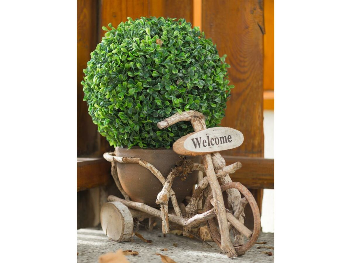 Apartment Appartement Ramsau Ort - Outdoor photo 3