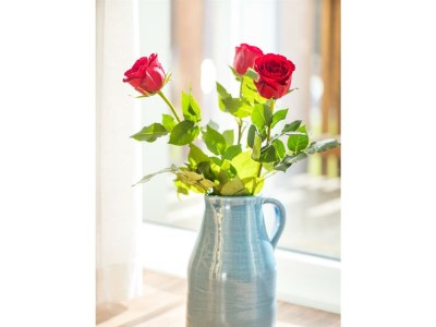 Apartment Appartement Ramsau Ort - Outdoor photo 8