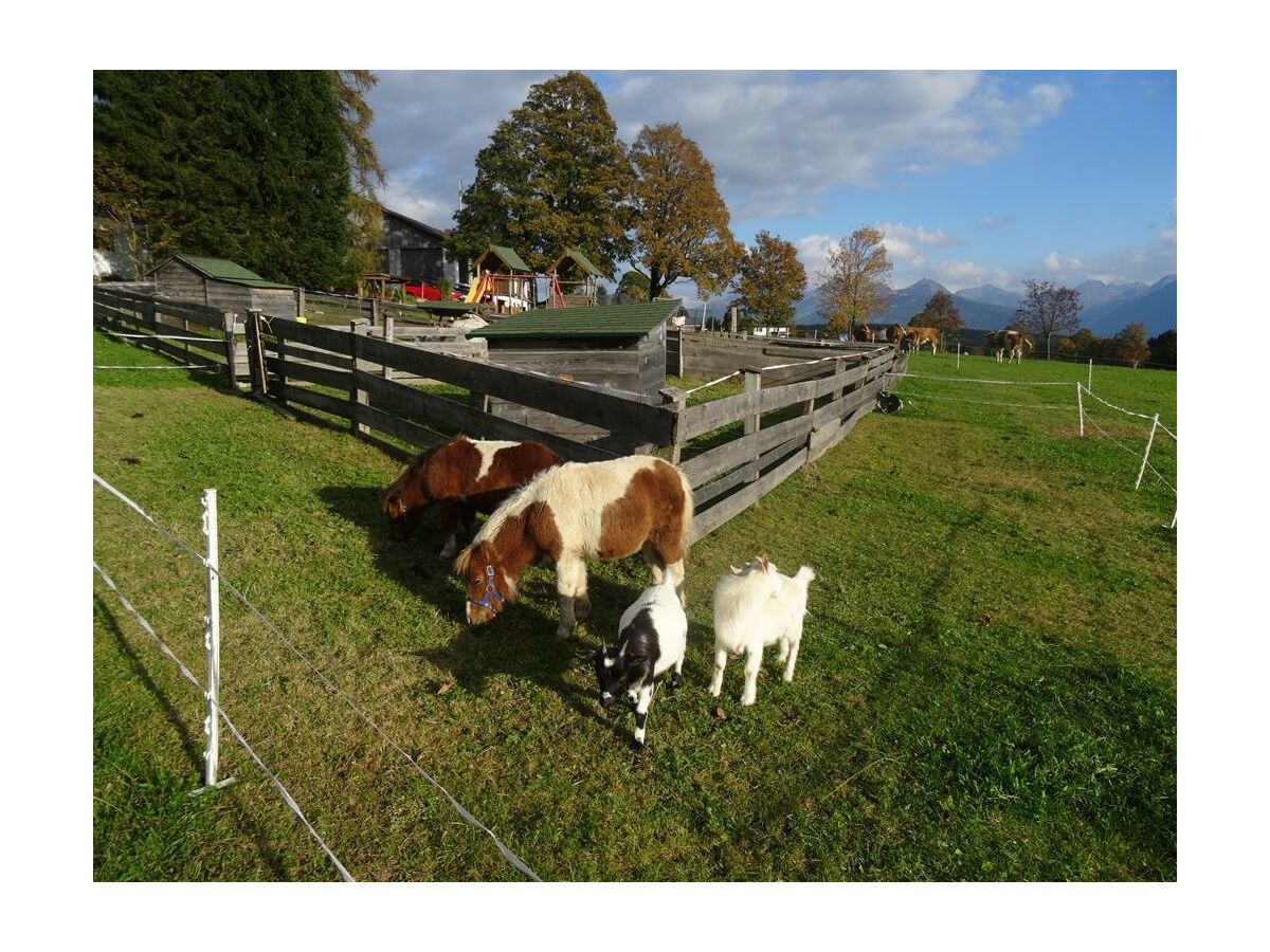 Apartment Sonne /Fewo, Dusche, WC, 1 Schlafraum