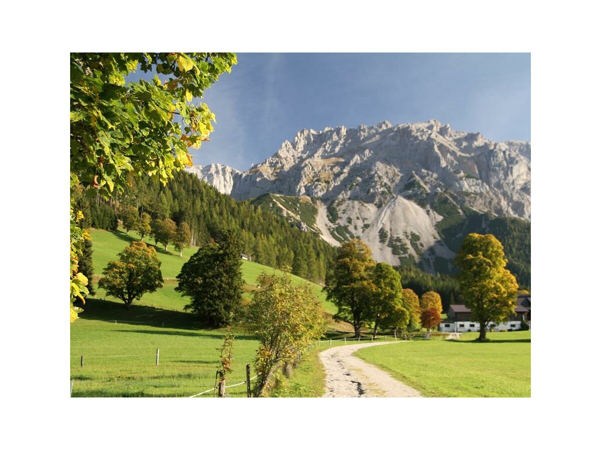 Apartment Sonne /Fewo, Dusche, WC, 1 Schlafraum - Outdoor photo 5