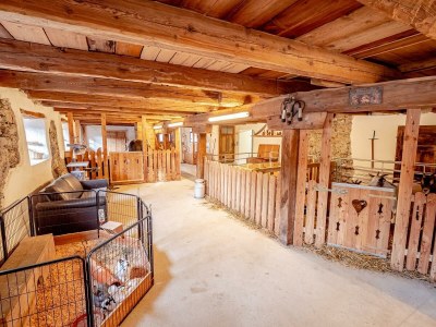 Apartment Sonne /Fewo, Dusche, WC, 1 Schlafraum - Outdoor photo 7