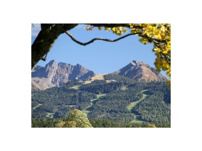 Apartment Sonne /Fewo, Dusche, WC, 1 Schlafraum - Outdoor photo 15