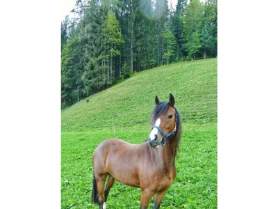 Apartment Apartment/3 Schlafräume/Dusche, WC - Outdoor photo 17