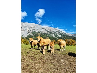 Apartment Apartment/3 Schlafräume/Dusche, WC - Outdoor photo 23