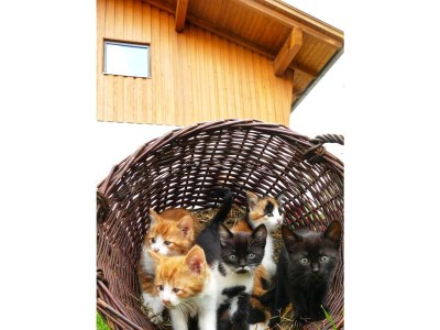 Holiday room Doppelzimmer mit Dusche, WC - Outdoor photo 12