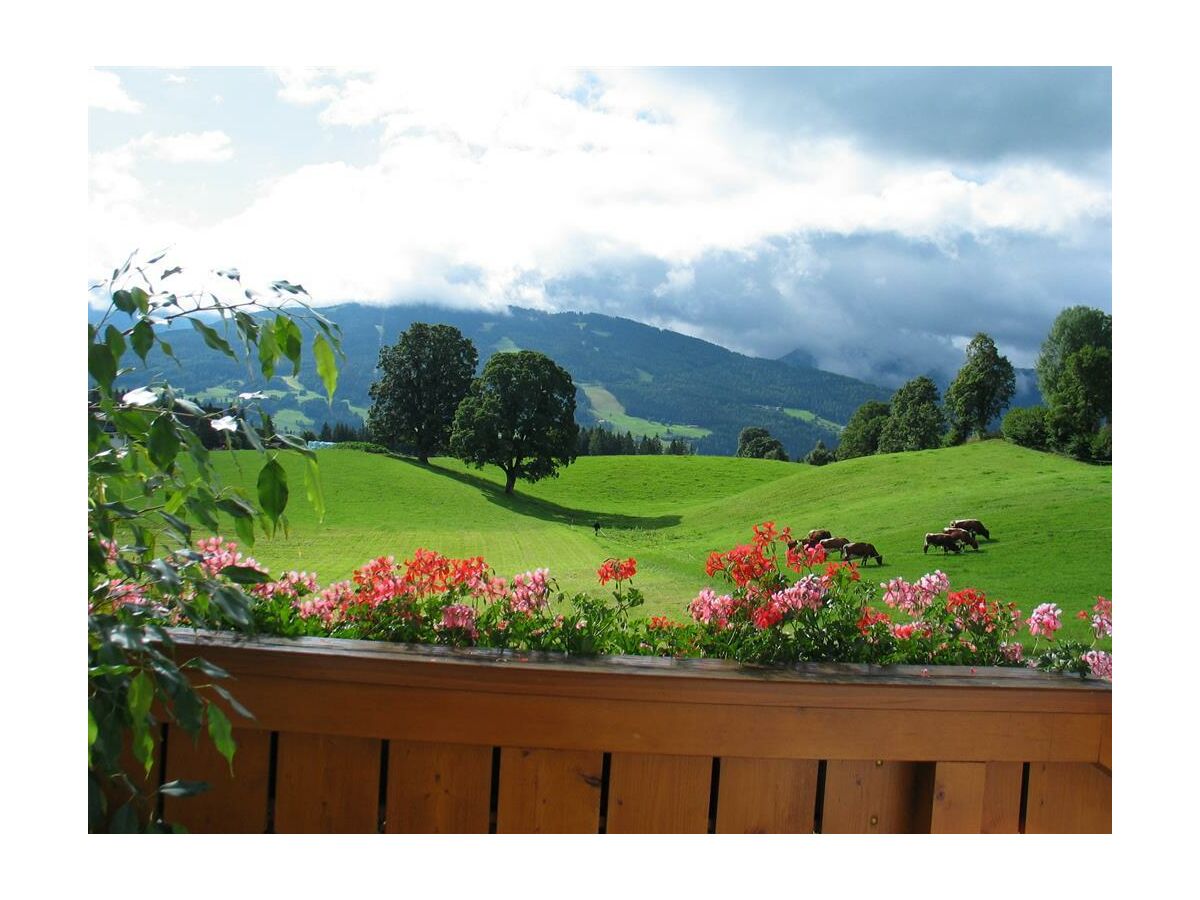 Apartment Apartment/2 Schlafräume/Dusche, WC - Outdoor photo 2