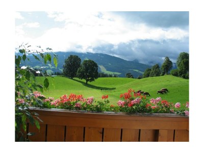 Apartment Apartment/2 Schlafräume/Dusche, WC - Outdoor photo 2