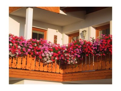 Apartment Apartment/2 Schlafräume/Dusche, WC - Outdoor photo 7