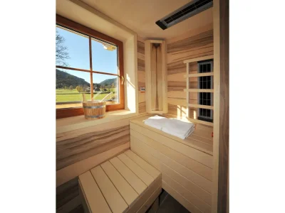Apartment Appartement/Fewo, Dusche, WC, Sauna, "Landflair" - Features photo 37