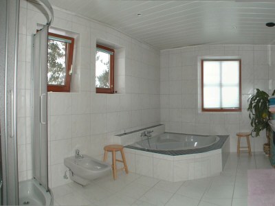 Apartment App.Schladming / 1,5 Schlafraum, Bad, WC - 5 - Features photo 18