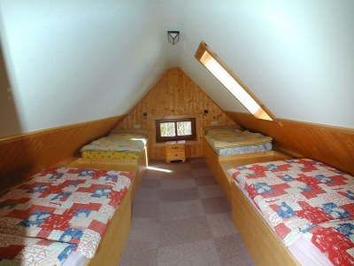 Apartment App.Dachstein / 4 Schlafr./ Bad, 2 WC -10 - Features photo 19