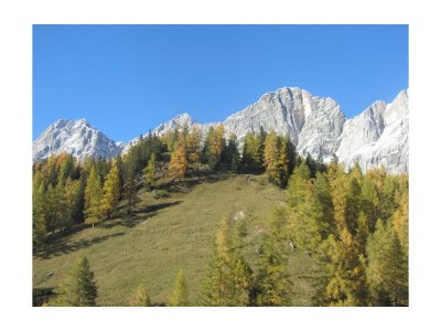 Apartment Apartment Enzian/1 Schlafraum/Dusche, WC - Outdoor photo 18