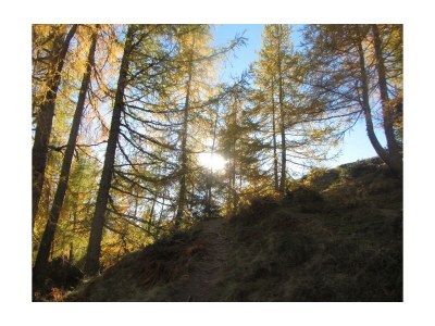 Apartment Apartment Enzian/1 Schlafraum/Dusche, WC - Outdoor photo 19