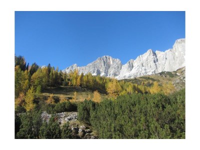 Apartment Apartment Enzian/1 Schlafraum/Dusche, WC - Outdoor photo 20