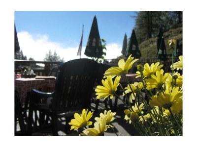 Apartment Apartment Enzian/1 Schlafraum/Dusche, WC - Outdoor photo 23