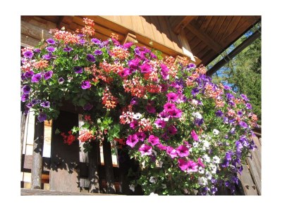 Apartment Apartment Enzian/1 Schlafraum/Dusche, WC - Outdoor photo 24