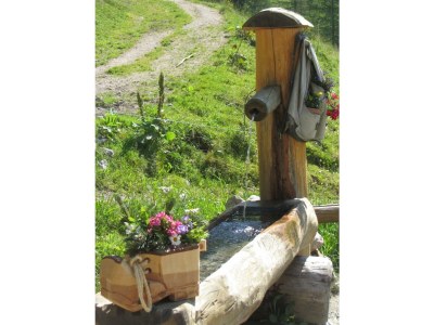 Apartment Apartment Enzian/1 Schlafraum/Dusche, WC - Outdoor photo 43