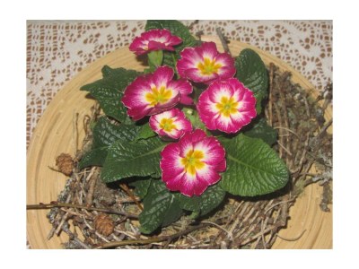 Apartment Apartment Enzian/1 Schlafraum/Dusche, WC - Outdoor photo 44