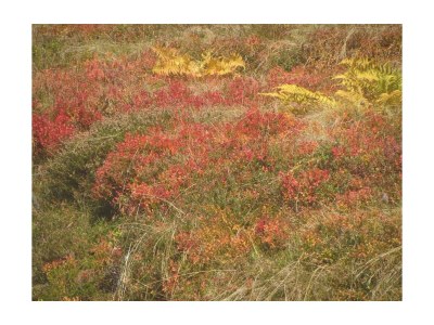 Apartment Apartment Enzian/1 Schlafraum/Dusche, WC - Outdoor photo 46