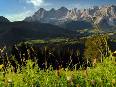 Apartment Ap. Schlafraum, Wohnküche/Du/WC, 40 m² - Outdoor photo 57