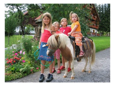 Apartment Apartment/1 Schlafraum/Dusche, WC, 35m² - Outdoor photo 20