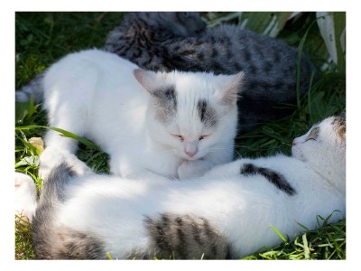 Apartment Apartment/2 Schlafräume/Dusche, WC 60 m² - Outdoor photo 24